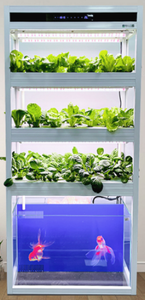 물고기 애호가를 위한 Auma Aquaponic 시스템 장비