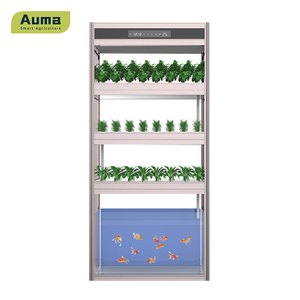 Auma Aquaponic 모델 AM3은 유기농 및 신선한 야채와 생선에 접근하는 좋은 방법입니다